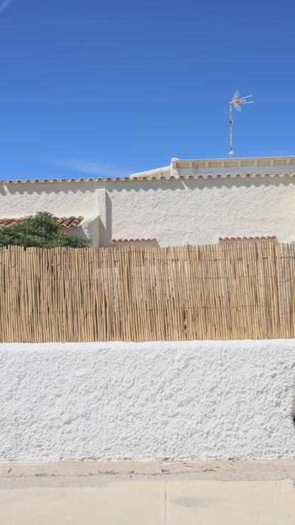 Alpargata de algodón modelo Tabarca